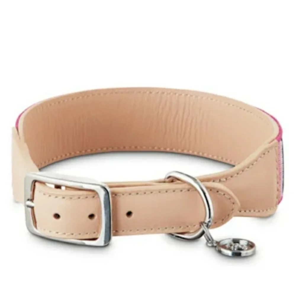 Bond & Co. Sorbet Striped Dog Collar-Small